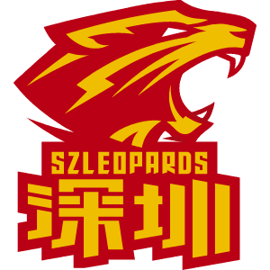 深圳新世纪后备队logo